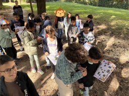 P2B - Les Ouistitis au grand air